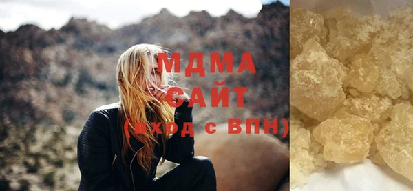 шишки Белокуриха