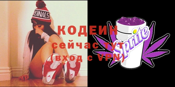 шишки Белокуриха