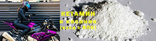 шишки Белокуриха
