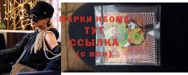 шишки Белокуриха