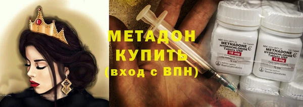 шишки Белокуриха