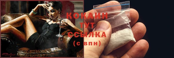 шишки Белокуриха