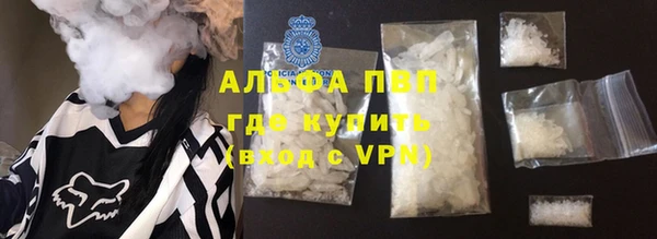 шишки Белокуриха