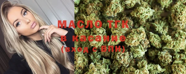 шишки Белокуриха