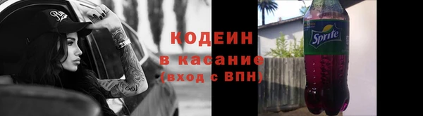 шишки Белокуриха