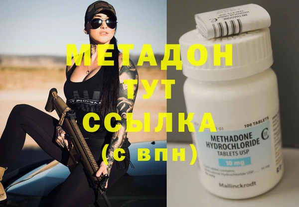 шишки Белокуриха