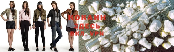 шишки Белокуриха