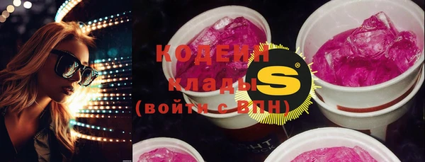 шишки Белокуриха