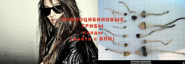 PSILOCYBIN Белоозёрский
