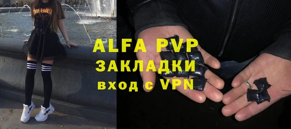 шишки Белокуриха