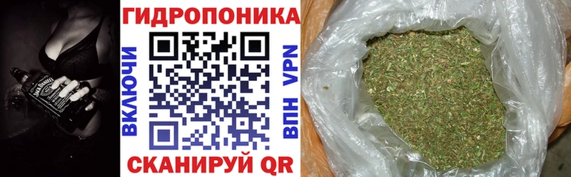 Бошки марихуана ГИДРОПОН  Светогорск 